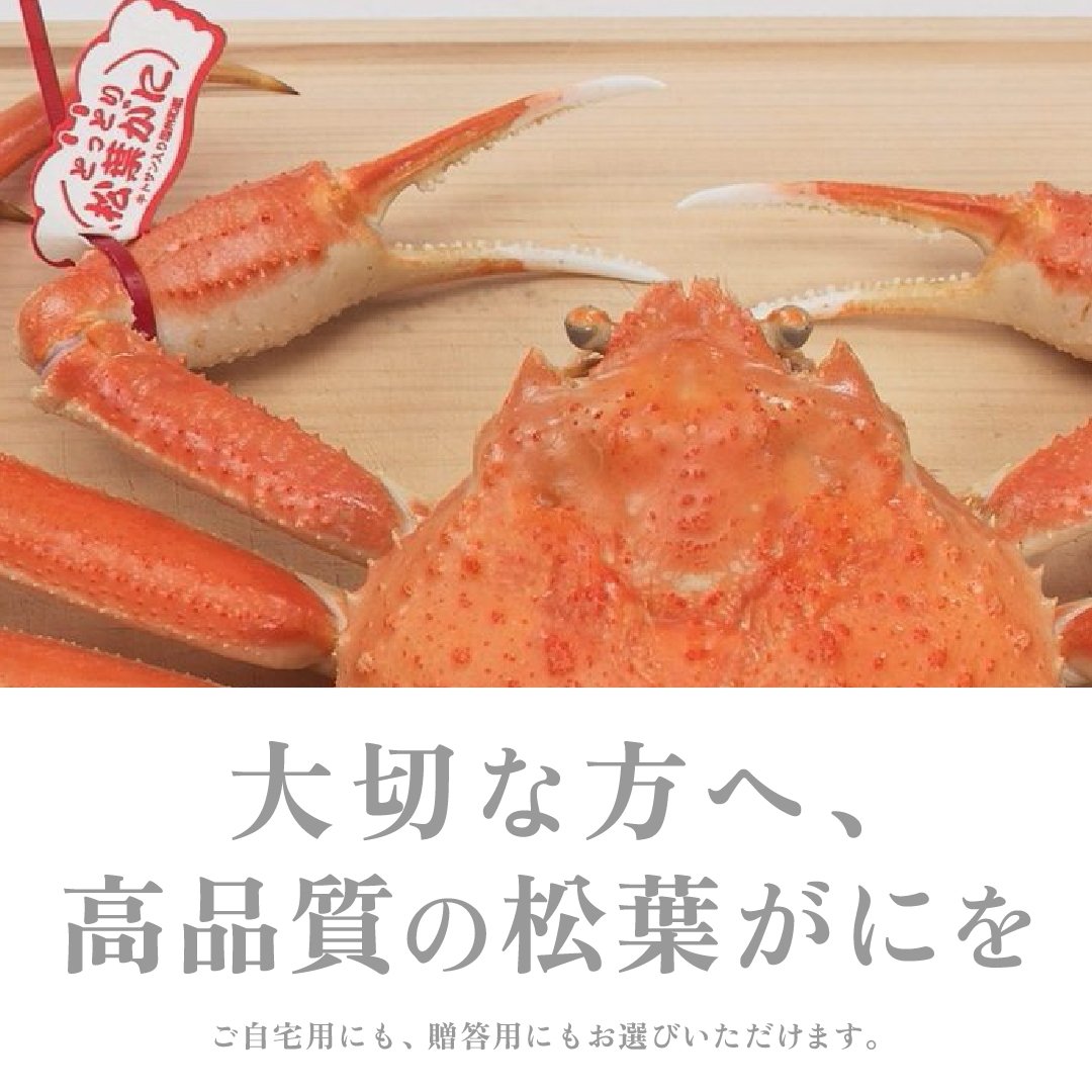 
                  【活物】訳あり 松葉がに 400g超 お手頃サイズ　3杯
                
