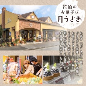 佐伯地産セット・大 (合計13個・6種)レモンケーキ どらやき ブラウニー 小豆 スイーツ スウィーツ 菓子 焼き菓子 和菓子 洋菓子 おやつ 詰め合わせ セット 個装 大分県 佐伯市【ER016】【