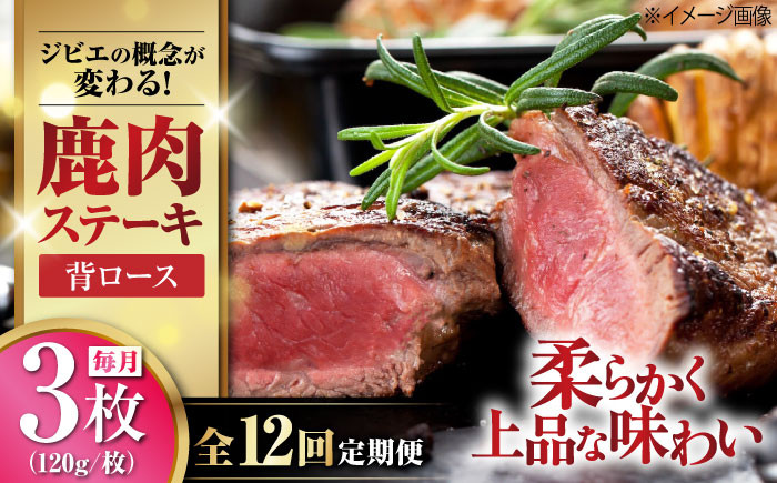 
【全12回定期便】鹿肉 背ロース 120g×3枚 《喜茂別町》【EBIJIN】 ジビエ 鹿 ロース ステーキ ステーキ用 赤身 冷凍 冷凍配送 定期便 [AJAO030]
