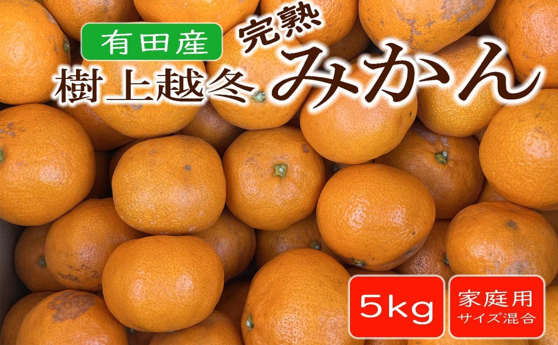 【濃厚・まろやか】有田産樹上越冬完熟みかん約5kg（ご家庭用）★2026年1月下旬頃より順次発送 BZ132