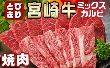 宮崎牛ミックスカルビ焼肉500g≪みやこんじょ快速便≫_14-8902-R_(都城市) 宮崎県産 宮崎牛 ミックスカルビ 焼肉 バーベキュー 赤身 サシ 旨み 風味 食感 ウデ バラ 肩ロース モモ