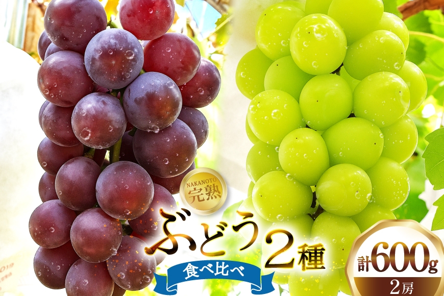 
                  ぶどう エミー農園で作る 完熟ぶどう 2種食べ比べセット シャインマスカット ＆ BKシードレス　合計600g  [道の駅織姫の里なかのと 石川県 中能登町 nk17amw270057] ブドウ 葡萄 シャイン シャインマスカット マスカット 食べ比べ 果物 フルーツ 
                