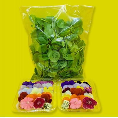 ふるさと納税 播磨町 食用のエディブルフラワー(生花)×2パック・サラダクレソン×1袋【Aセット】