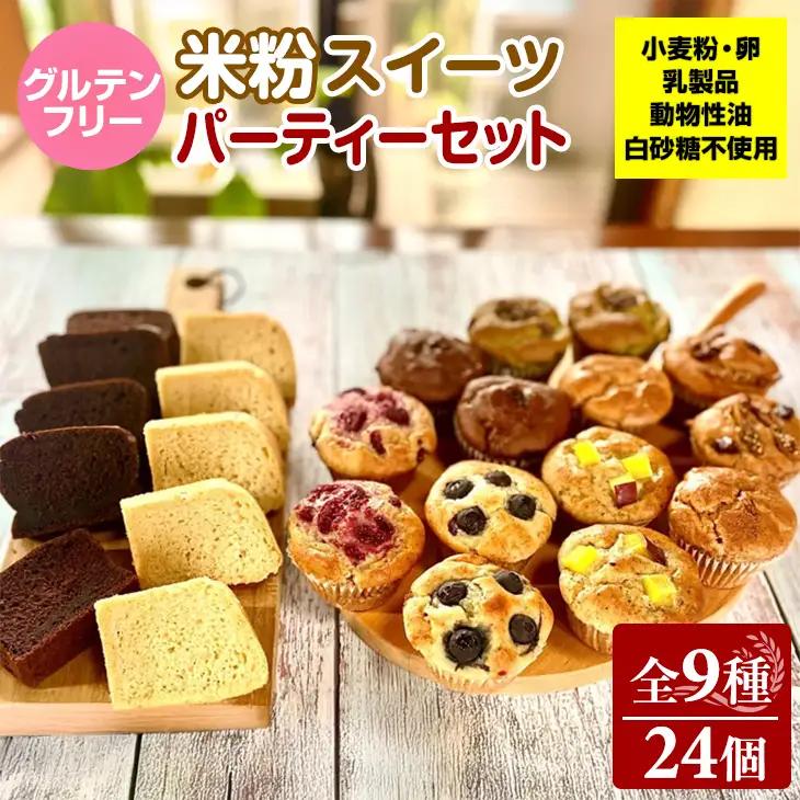 グルテンフリー ヴィーガン 米粉スイーツ パーティーセット サンテカフェまる D300-011