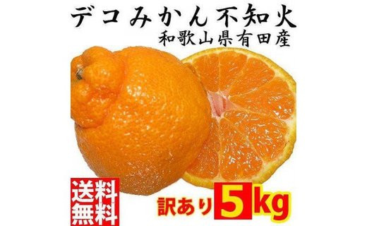 不知火(しらぬい) オレンジ みかん 家庭用 5kg  	CE013