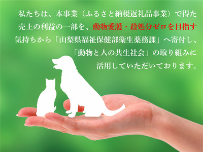 シャインマスカット 2.5kg（3～6房）山梨県甲州市 産地直送【2024年発送】（ORJ）C5-801