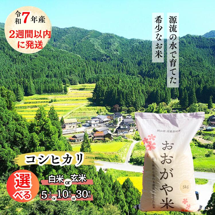 【ふるさと納税】＜2週間以内に発送＞R7年産　新米受付開始　 おおがや米 コシヒカリ　岡山県　西粟倉村　白米・玄米・5kg・10kg・30kg G-al-AECA