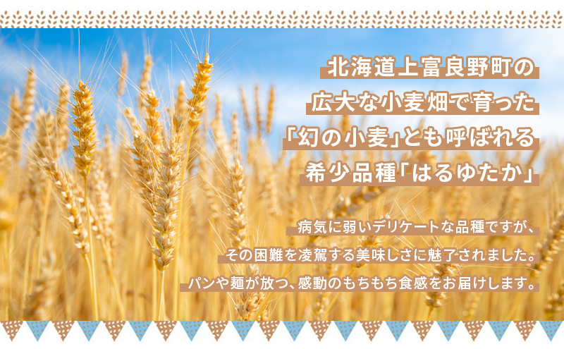 上富良野町産 強力粉 (はるゆたか) 3kg[1kg×3P]自社農園産 小麦 国産 パン ベーグル ピザ ドーナツ 強力小麦粉 小麦粉 北海道 上富良野町