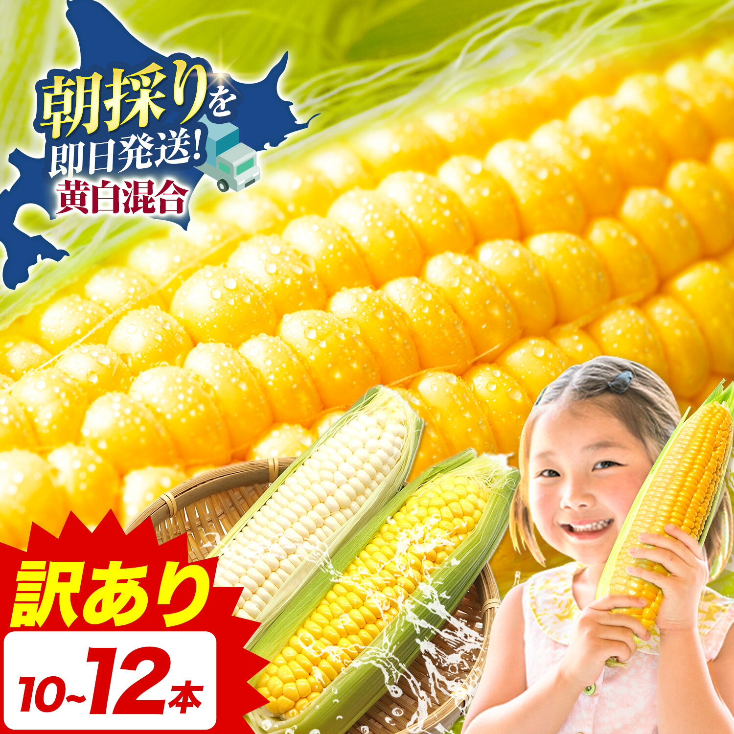 【ふるさと納税】訳あり 極甘 ゴールドラッシュ ホワイト 混合 とうもろこし 10本 ～ 12本 北海道 名寄市産 朝採り 産地直送 生 で食べられる なよろ イエロー なよろ ホワイト コーンスープ 送料無料 おいしい 《8月上旬-9月中旬頃出荷》