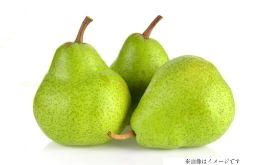 【期間限定発送】 ラ・フランス 高畠町産 ラ・フランス 7～9玉 約 3kg [JA山形おきたま 山形県 高畠町 tk06ays870010] 梨 洋梨 果物 くだもの フルーツ 3キロ