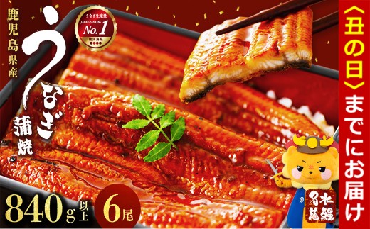 【丑の日までに配送】鹿児島県産うなぎ蒲焼 名水慈鰻 6尾＜計840g以上＞ うなぎ 鰻 ウナギ 6尾 国産 蒲焼 かばやき 冷凍 真空 真空パック 無頭 うな重 ひつまぶし タレ 山椒 c3-024-us