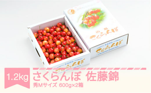 先行予約 さくらんぼ 佐藤錦 秀Mサイズ バラ詰め 1.2kg(600g×2箱) 2025年産 令和7年産 山形県産 ns-snsmb1200