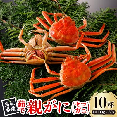ふるさと納税 智頭町 【先行予約】鳥取県産 茹 親がに(セコガニ)100〜130g×10杯 2026年11月発送