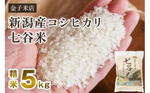【令和6年産米】老舗米穀店が厳選 新潟産 従来品種コシヒカリ「七谷米」精米5kg 白米 窒素ガス充填パックで鮮度長持ち 金子米店