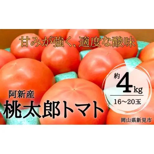 阿新産桃太郎トマト 1箱 約4kg 16～20玉 【7～9月限定】