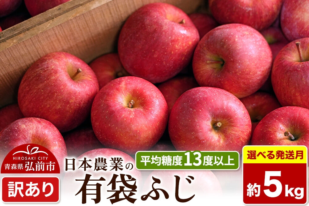 
                  りんご【選べる 27年4月／5月 クール便発送】有袋ふじ【訳あり】約5kg【CA貯蔵】平均糖度13度以上 クール便 青森 果物 フルーツ 林檎 リンゴ くだもの 不揃い 規格外 [先行予約 家庭用 産地直送 アップル 青森県 弘前市]
                