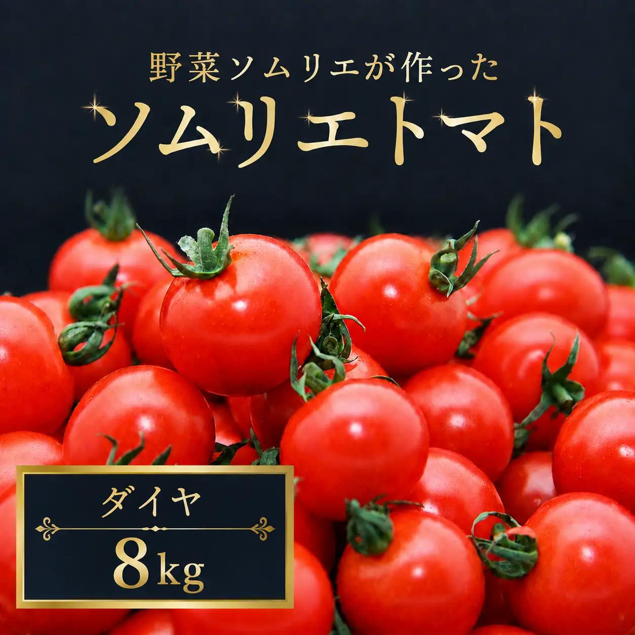 ミニトマト（ダイヤ）8kg｜レッドアップ
