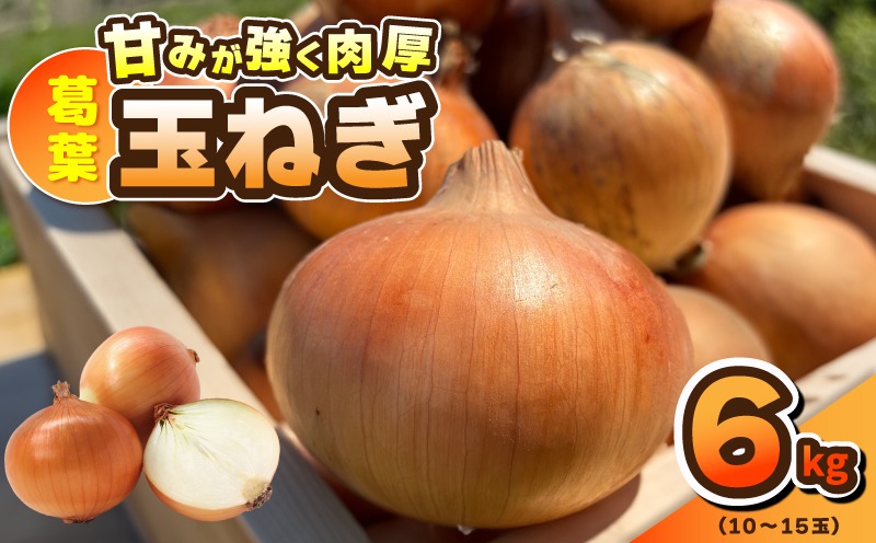 010B1773 【先行予約】葛葉玉ねぎ 6kg（10～15玉）