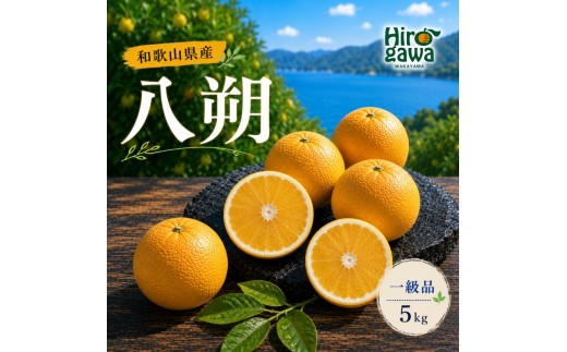 
                  八朔 一級品 5kg【hkt021-p-5】
                