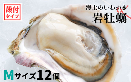 【のし付き 海士のいわがき】殻付き Mサイズ 12個 岩牡蠣 生食可 新鮮クリーミー 冷凍 牡蛎 牡蠣 かき カキ 岩牡蠣 いわがき CAS CAS冷凍 父の日 母の日 バーベキュー ギフト