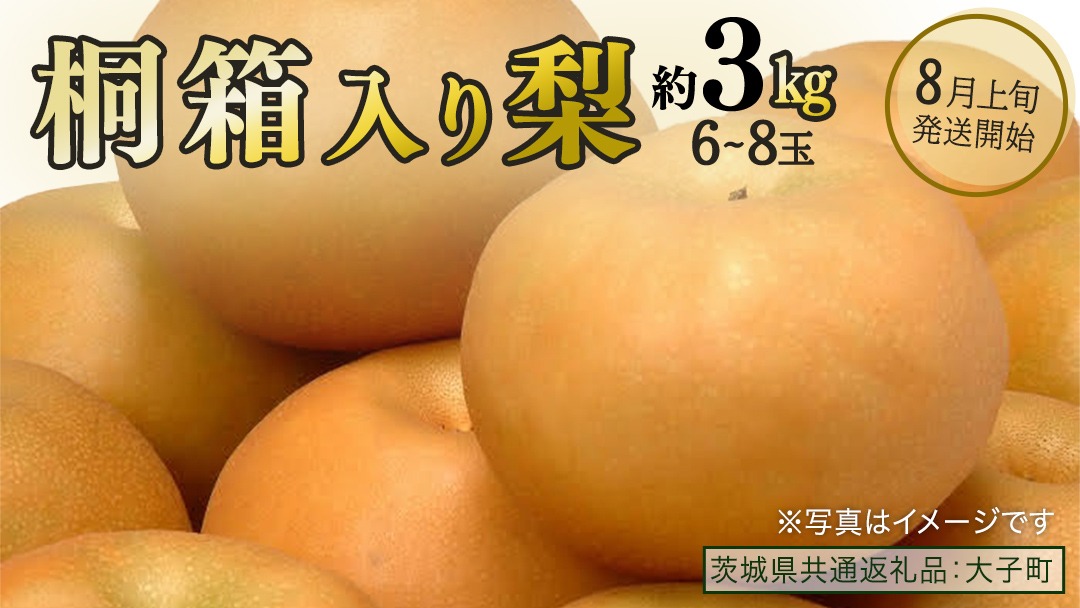  【桐箱入り】梨 約3kg (6～8玉) 【2026年8月上旬発送開始】(茨城県共通返礼品：大子町) なし 果物 くだもの フルーツ おまかせ 旬