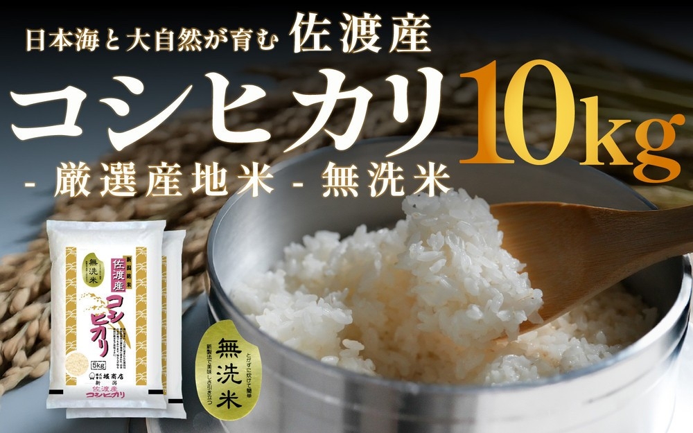
                  【令和7年産】佐渡産コシヒカリ 無洗米10kg（5kg×2袋）国仲平野 | 新潟県産コシヒカリ 新潟産コシヒカリ 佐渡産コシヒカリ 新潟県産こしひかり 佐渡産こしひかり お米 米 こしひかり 無洗米 むせんまい 精米 ブランド米 おこめ コメ 10キロ 国仲平野 にいがた さど 新潟県 佐渡市
                