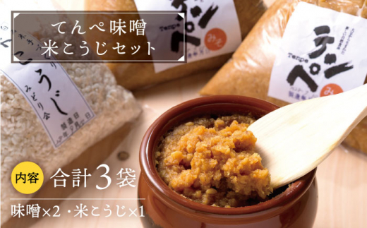【身体にやさしい発酵食品！】てんぺ味噌・米こうじセット【しろいし特産物直売所】テンペ 発酵食品 健康食品 無塩 国産 佐賀県産 九州 佐賀県 白石町 九州 佐賀県 白石町  白石 [IAI001]