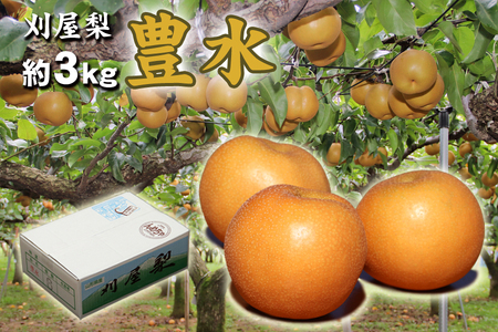 酒田産刈屋梨　和梨【豊水】約3kg(6～8玉入り) SA2711