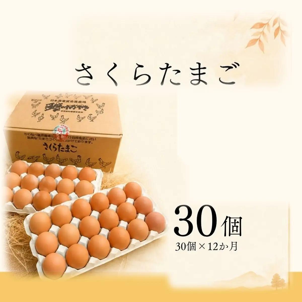 【定期便 30個×12ヶ月】かわなべ鶏卵農場のこだわりのたまご さくらたまご 青梅市