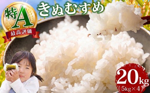 岡山県産  特A「 きぬむすめ 」20kg 令和7年産 　8月発送