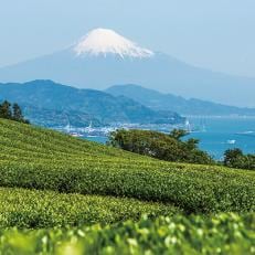 タクシーで巡る　お茶のまち静岡市ツアー「清水駅発。日本平コース」