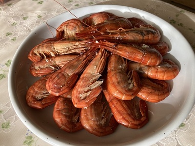 新物6月配送 北海縞海老（シマエビ) 500g Sサイズ 40~44尾 えび しまえび 北海道しまえび エビ 海老 冷凍 ボイル済 冷凍