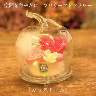 空間を華やかに　プリザーブドフラワー「ガラスドーム」イエロー＆オレンジ系
