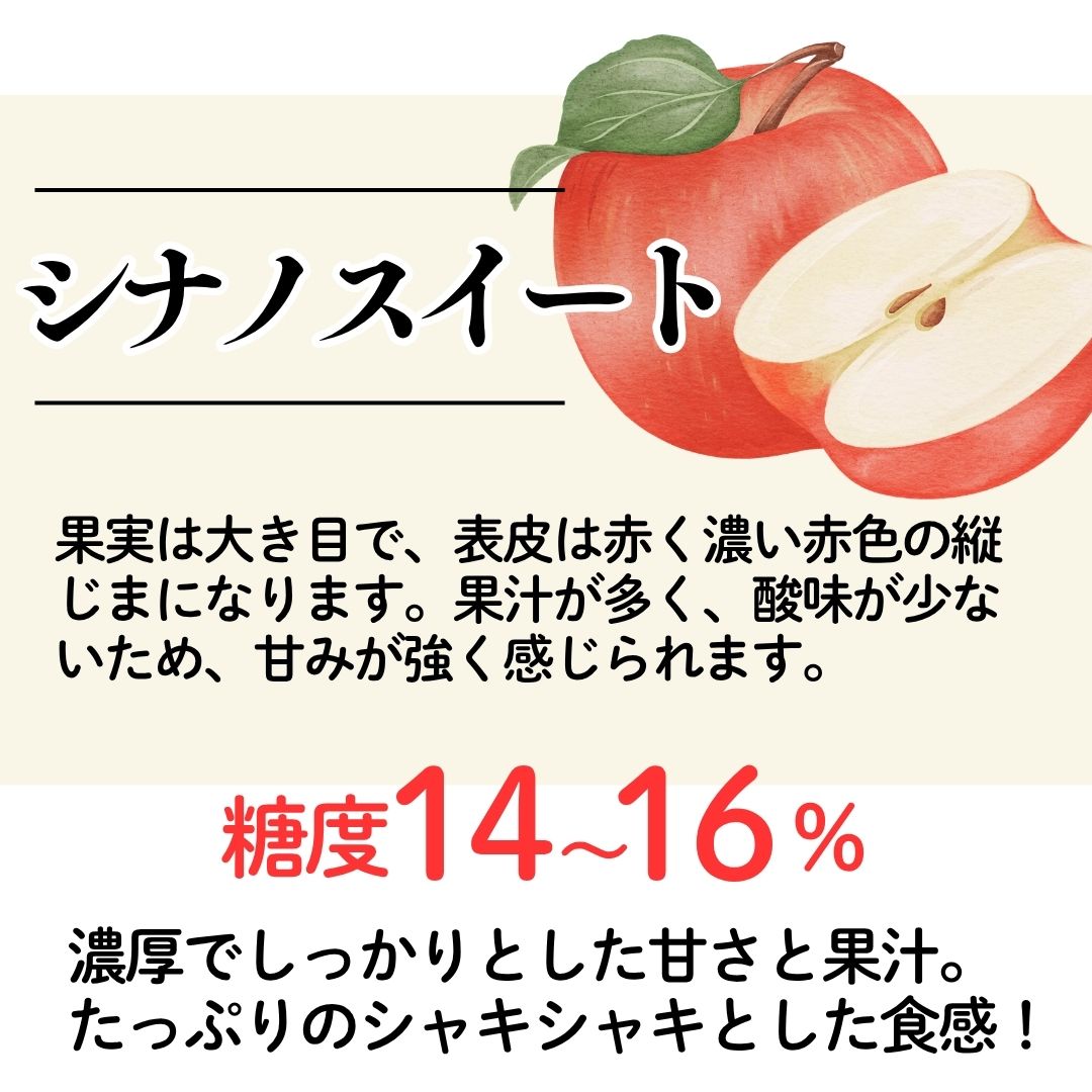 【10月上旬以降発送】佐渡 西三川・松丘農園のりんご「シナノスイート」12個から20個 計5kg196042-0006