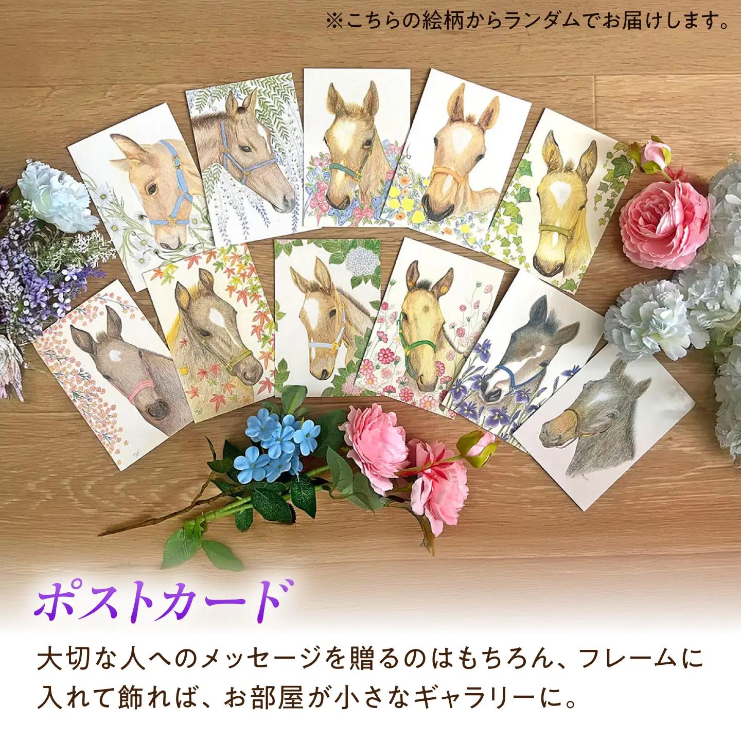 馬と花のステーショナリーセット BIBN007 競馬グッズ 競馬