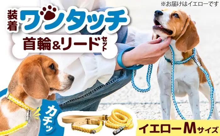 ペット 犬の首輪＆リードセット イエロー M ペット BLBX010