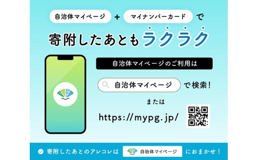 幸月堂　厚木推奨品銘菓　詰合せB ／ 和菓子 最中 モナカ 饅頭 まんじゅう 神奈川県 No.401