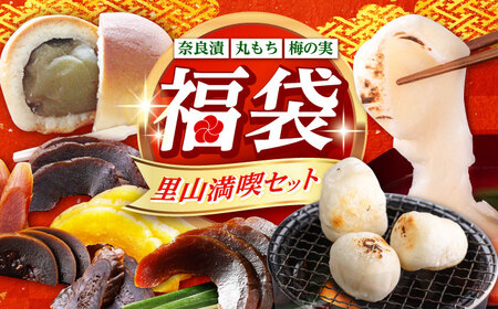 餅 福袋 里山満喫セット [ABZY017] 餅