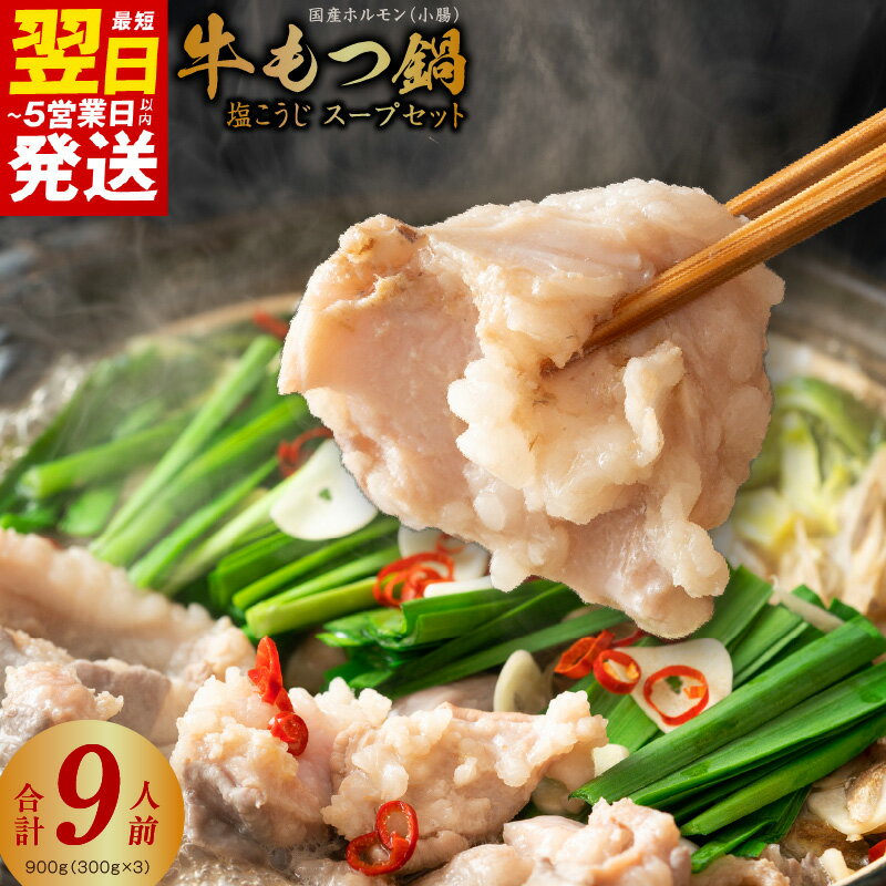 【ふるさと納税】 ＼最短翌日〜5営業日以内発送／ 国産 牛もつ鍋セット 9人前 ホルモン 塩こうじ スープセット 楽天限定 肉の泉佐野