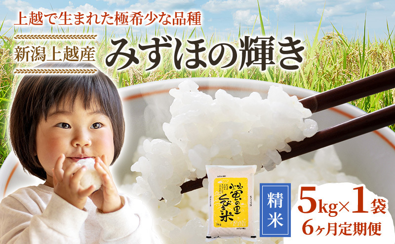 令和7年産 先行予約 新潟 米 定期便 みずほの輝き 新米 【6ヶ月連続お届け】5kg×6回 30kg 6か月 上越市 新潟県 おすすめ 限定