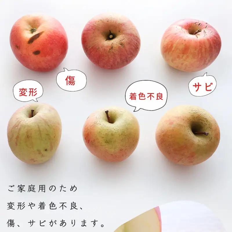 令和8年産 訳あり りんご 10kg  「ふじりんご」生産者直送 2026年産 山形県産 【2026年11月下旬頃から12月下旬頃発送予定】　020-B-NG010