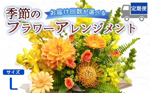 
            【選べる定期便】 季節のフラワーアレンジメント （L） | 発送月固定 花 お花 生花 フラワー フラワーアレンジメント 花束 花の定期便 定期便 4回 6回 12回 配送地域限定 京都府 綾部市
          