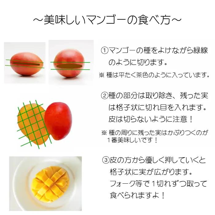 マンゴー 宮崎 完熟 特秀 4L 1玉 マンゴー[約600g 化粧箱入り]