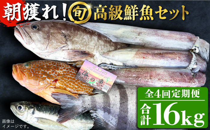 
【全4回定期便】【五島列島・直送】朝獲れ！高級鮮魚セット4kg 五島市 / 鯛福丸水産 [PDP006]
