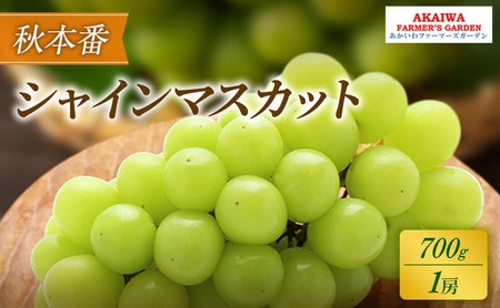 シャインマスカット 秋本番 岡山県産 シャインマスカット【1房約700g】【先行予約】