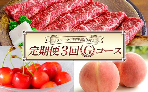 【先行予約 2024年度発送】♪フルーツ牛肉王国山形♪定期便3回 Gコース FSY-1119