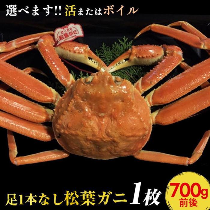 【ふるさと納税】668.【選べます！活またはボイル】足1本なし　訳あり　松葉ガニ　中1枚（700g前後）【着日指定不可】※2025年11月上旬～2026年3月下旬頃に順次発送予定《かに カニ 蟹》