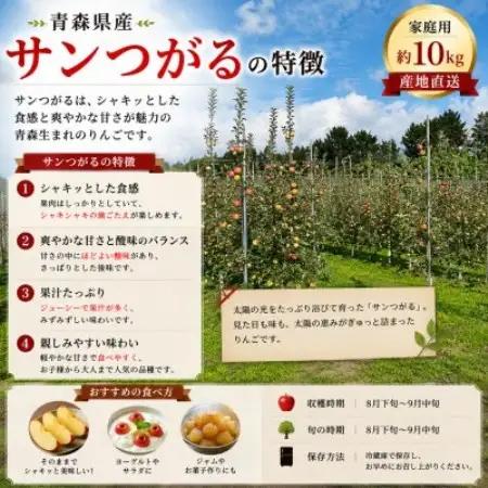 【青森県産】秋が旬サンつがる / 家庭用 約10kg【配送不可地域：離島】【1777978】