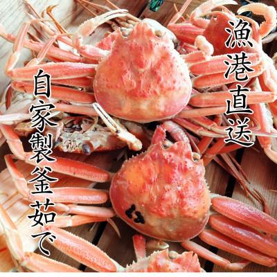 ふるさと納税 京丹後市 松葉蟹めす!京丹後市より茹でたて ! プロトン凍結 【 訳あり 】 茹でこっぺがに 香箱ガニ  5杯 |  | 03
