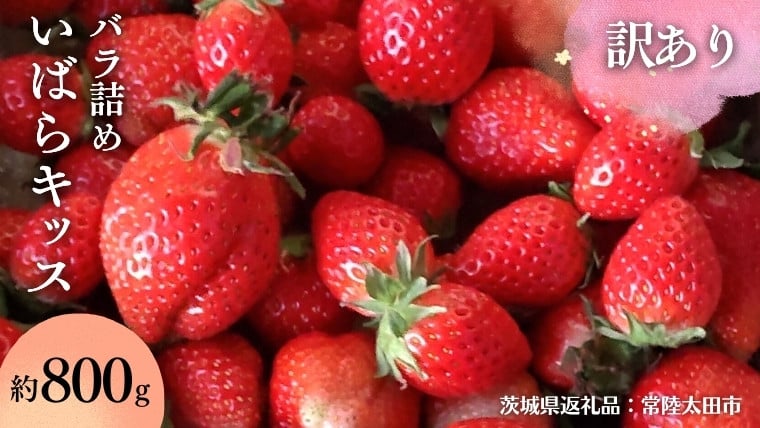 
            【 訳あり 】【 2026年 先行予約 】  いばらキッス たっぷり 約800g バラ詰め  （茨城県共通返礼品／常陸太田市） 茨城県品種 2026年2月から発送開始 フルーツ 苺 イチゴ いちご 新鮮 朝採れ 茨城県 桧山FRUITFARM [DY023sa]
          